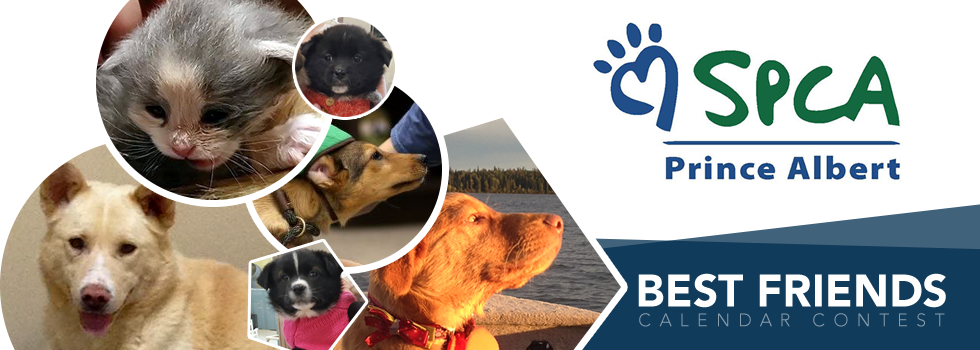 Banner for The Prince Albert SPCA’s Best Friends Calendar Contest