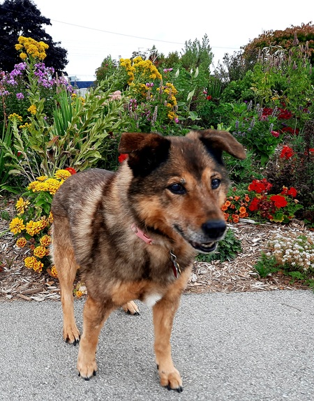 Ruby