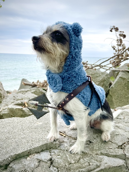 MogiBear the Conquerer