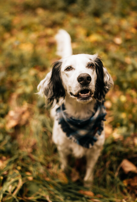 Ellie