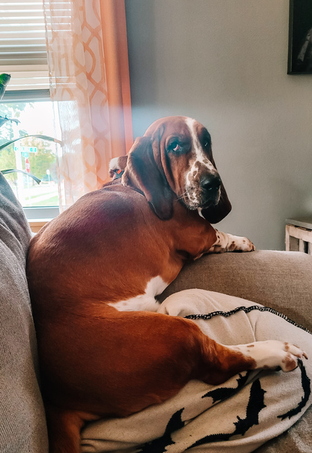 Walter