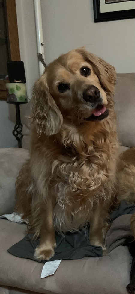 Annie
