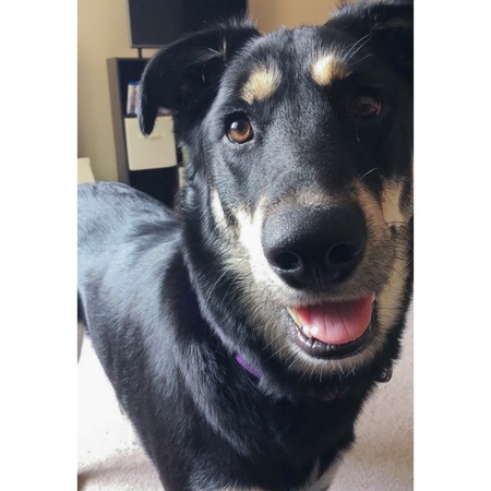 Mia
