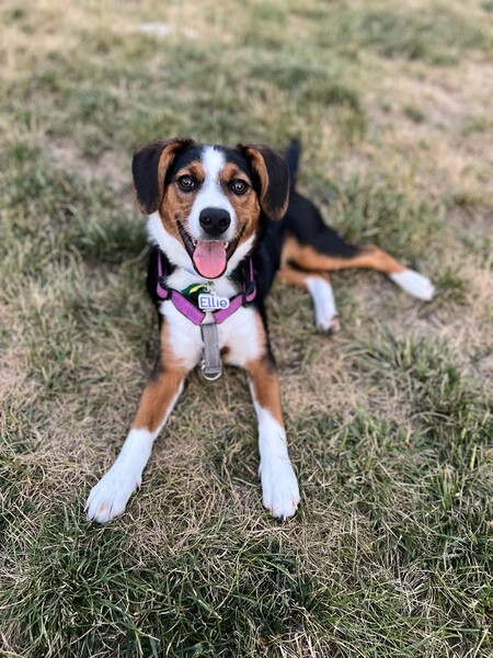 Ellie