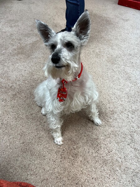 Henry