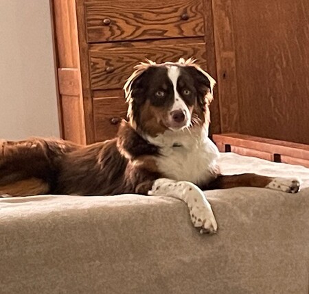 Wilma