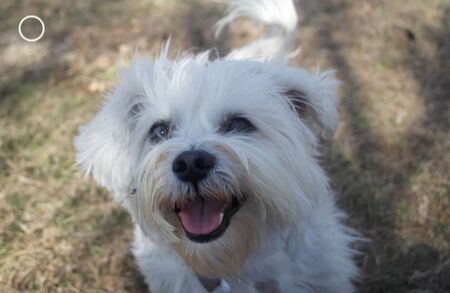 Wilma