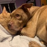 Entry image for Hershey