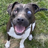 Entry image for Fannie