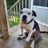 Entry image for Reggie