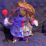 Entry image for Chico 