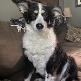 Entry image for Sally