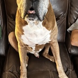 Entry image for Zeus