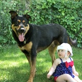 Entry image for Gavin 