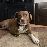 Entry image for Ellie Mae 