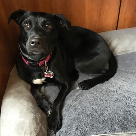 Entry image for Lucy Winter. Clicking this image will show a larger photo