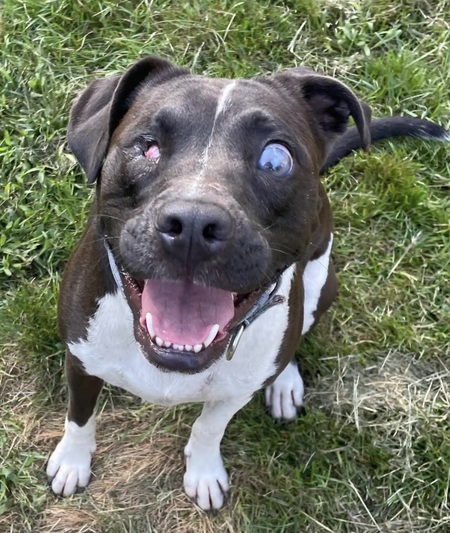 Entry image for Fannie. Clicking this image will show a larger photo