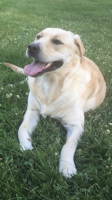 Entry image for Shelby Jean. Clicking this image will show a larger photo