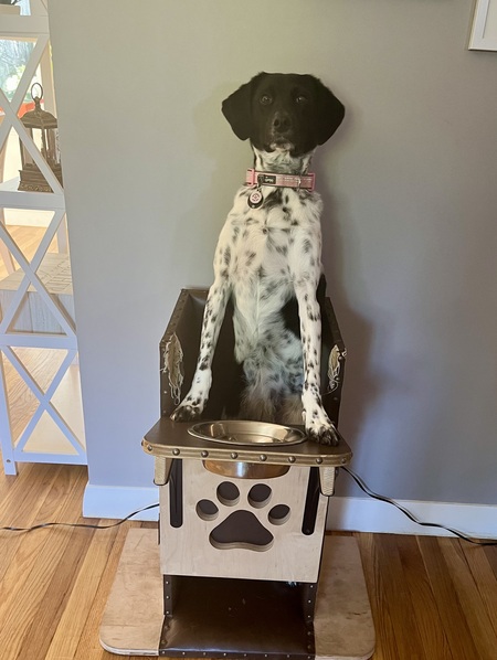 Entry image for Callie. Clicking this image will show a larger photo