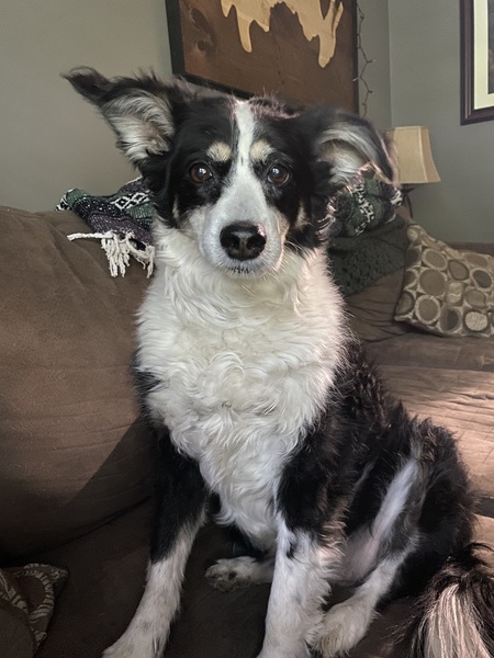 Entry image for Sally. Clicking this image will show a larger photo