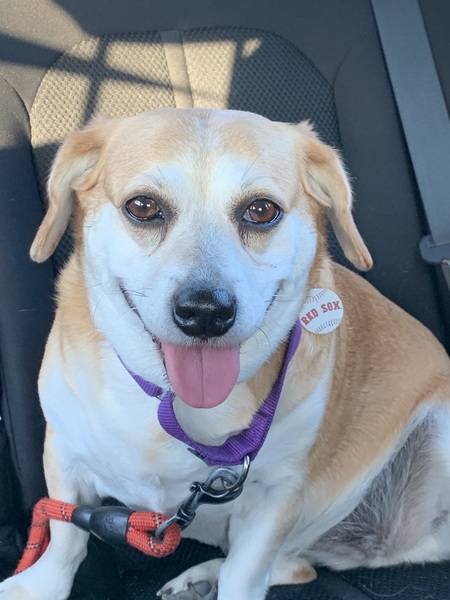 Entry image for Melody. Clicking this image will show a larger photo