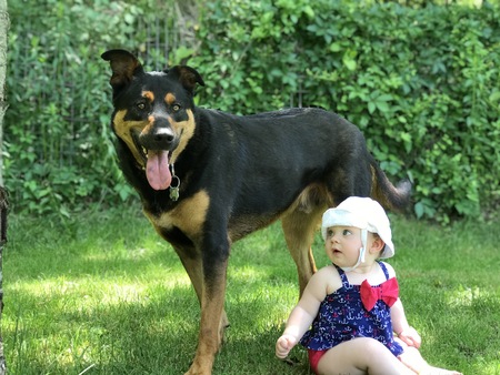 Entry image for Gavin . Clicking this image will show a larger photo