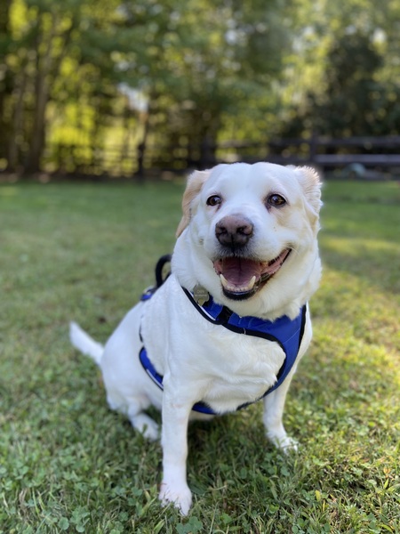 Entry image for Pete. Clicking this image will show a larger photo