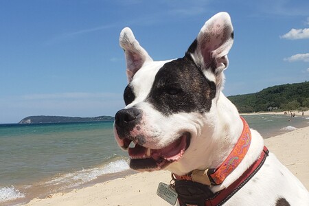 Max