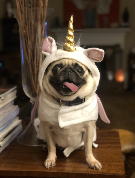 Stella 