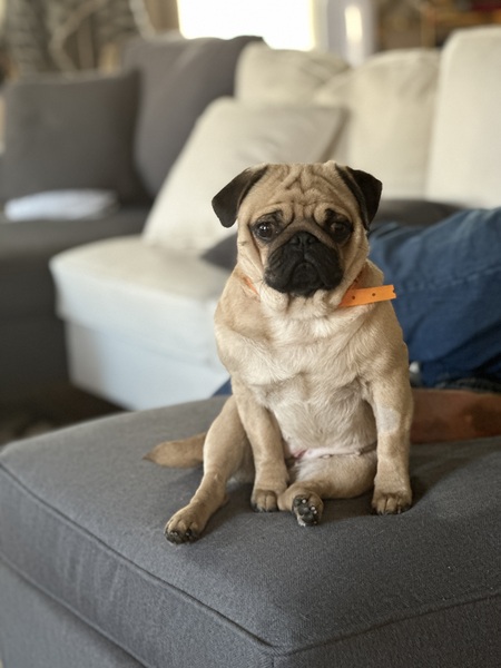 Coco
