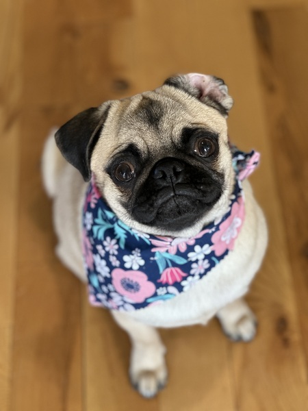 MiuMiu