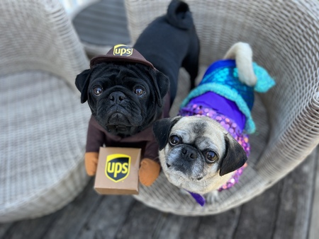 Chubbs and Bella