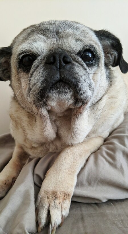Peggy