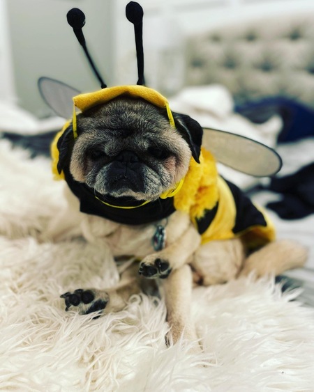 Lilah 