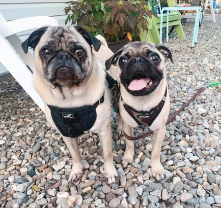 Frank and Jackson