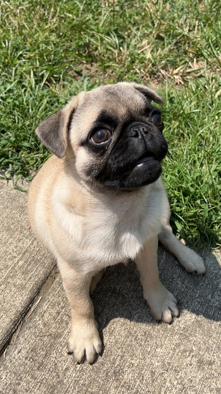 Luna