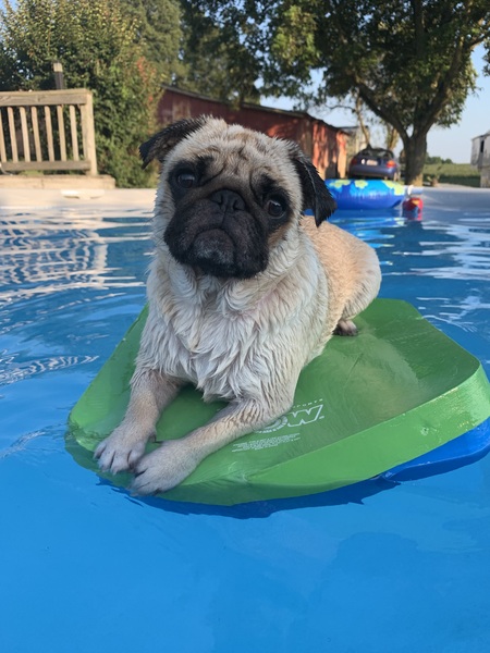 Lyla Mae