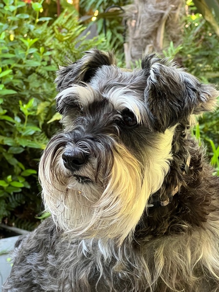 Ella