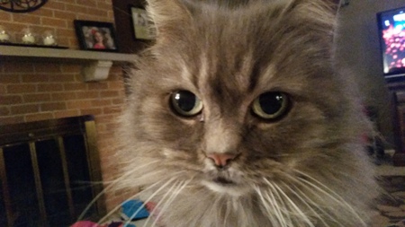 Lucy