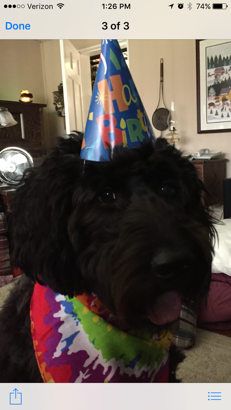 Otto