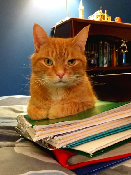 Hobbes