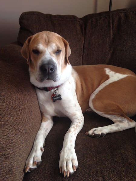 Murphy