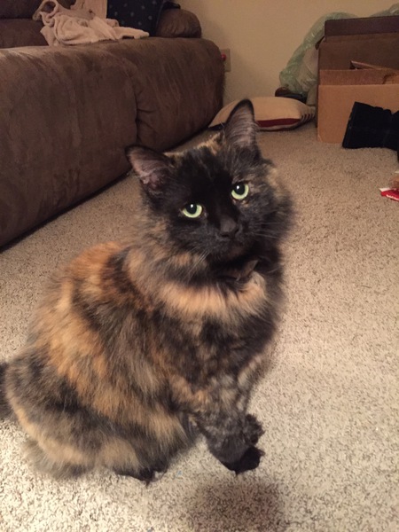 Maggie Mae