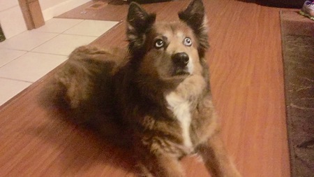 Skye