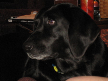Roxie