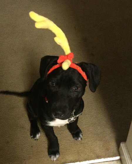 Jax
