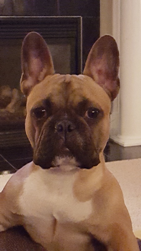 Winnie