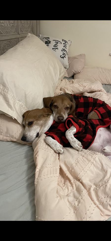 Snoopie and Woodie 