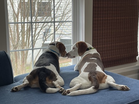 Pepper and Phoebe