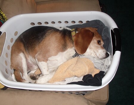 Baxter